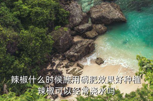 辣椒什么時候噴農藥好呢,桔子樹什么時候噴農藥