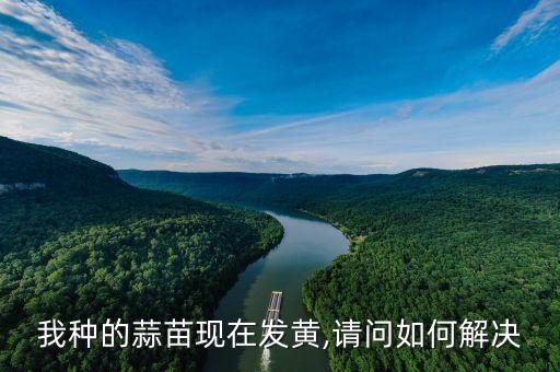 蒜苔干尖打什么農藥,干蒜苔炒什么好吃