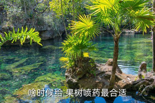 果樹什么時候噴農藥除害蟲,春季果樹什么時候打農藥