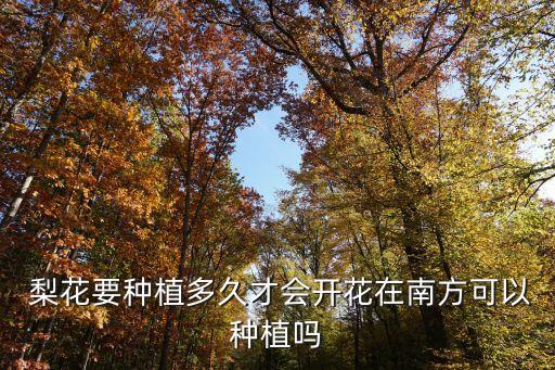  梨花要種植多久才會開花在南方可以種植嗎