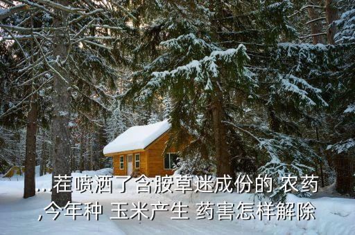 ...茬噴灑了含胺草迷成份的 農藥,今年種 玉米產生 藥害怎樣解除