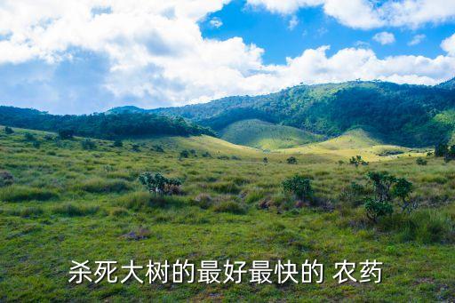 什么農藥注射楊樹,注射農藥到體內會有什么癥狀