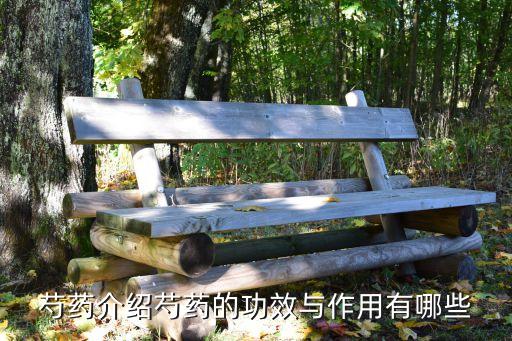芍藥介紹芍藥的功效與作用有哪些
