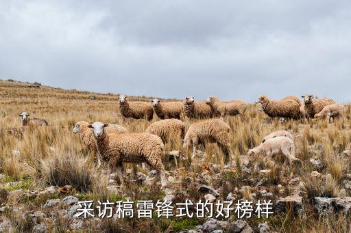 采訪稿雷鋒式的好榜樣