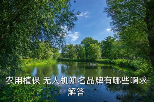 農用植保 無人機知名品牌有哪些啊求解答