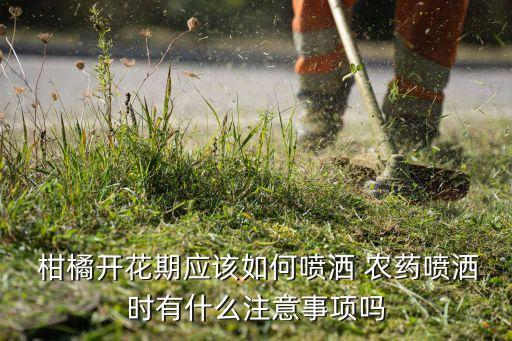 開春柑橘沙皮病用什么農藥