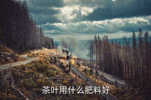 春天茶葉施什么農藥,如何辨別茶葉施了農藥