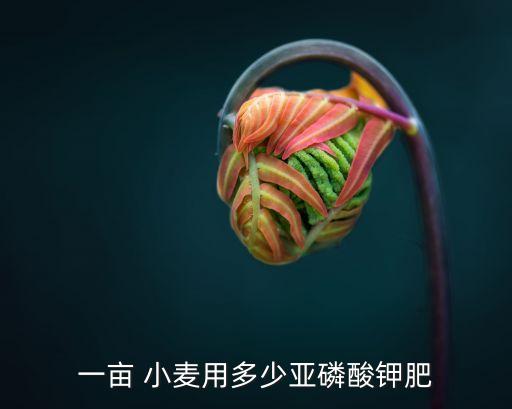 一畝 小麥用多少亞磷酸鉀肥