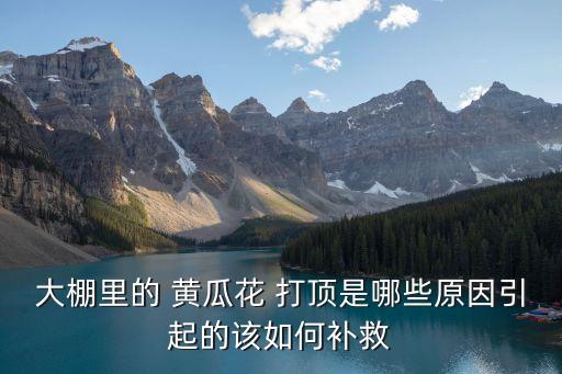 黃瓜打頂后用什么農藥好,什么是黃瓜花打頂