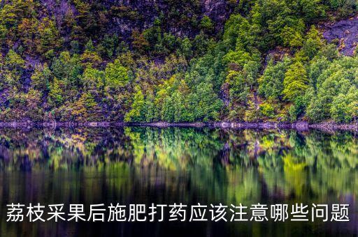 荔枝采果后施肥打藥應該注意哪些問題