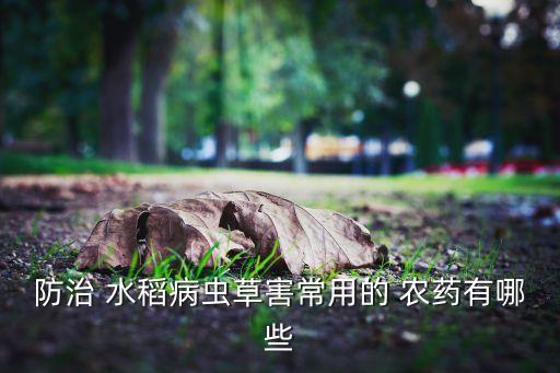 防治 水稻病蟲草害常用的 農藥有哪些