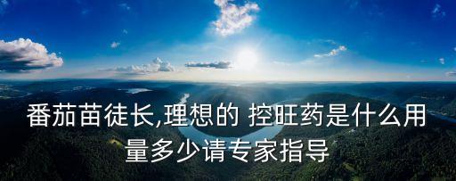番茄苗徒長(zhǎng),理想的 控旺藥是什么用量多少請(qǐng)專家指導(dǎo)