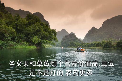 圣女果是什么農藥
