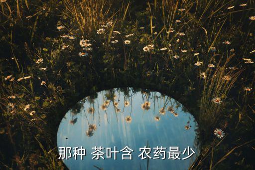 什么茶葉沒有農藥了,茶葉現在打什么農藥最好