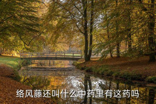 石龍?zhí)僮钆率裁崔r(nóng)藥