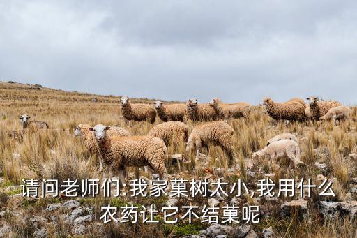 什么農(nóng)藥影響坐果子樹,果子爛了施什么農(nóng)藥