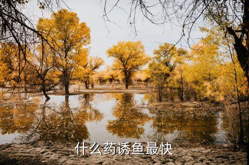 什么藥誘魚最快