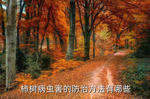 柿樹虱子用什么農藥,什么農藥可以殺虱子