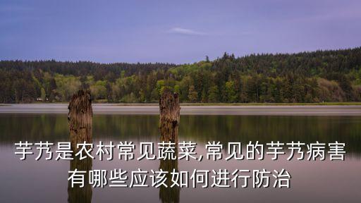 芋頭葉子發霉打什么農藥,芋頭的葉子什么樣 圖片