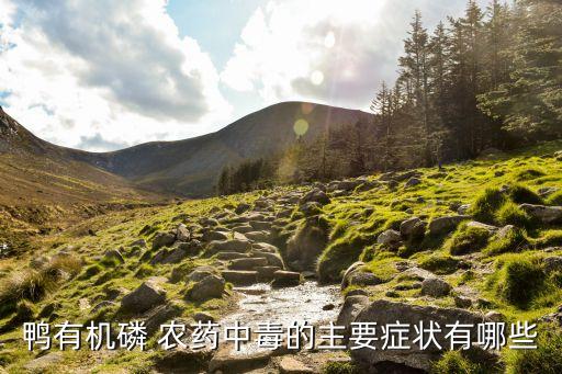鴨子怕的農藥是什么,怕鴨子是什么恐懼癥