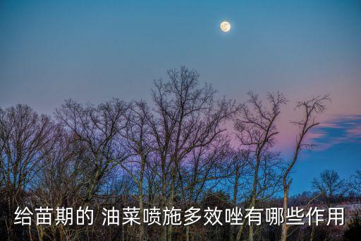 給苗期的 油菜噴施多效唑有哪些作用