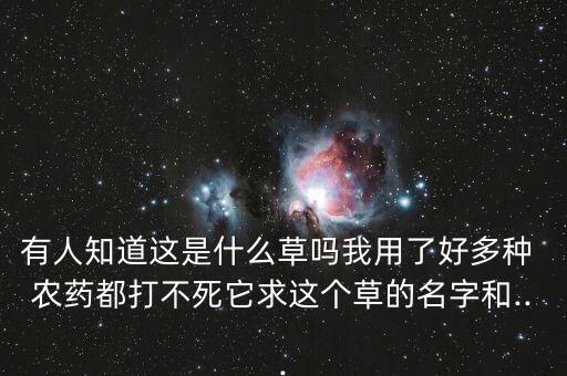 撒農藥背的叫什么草,有種農藥叫什么丹
