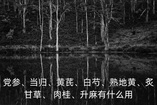 黨參、當(dāng)歸、黃芪、白芍、熟地黃、炙甘草、 肉桂、升麻有什么用