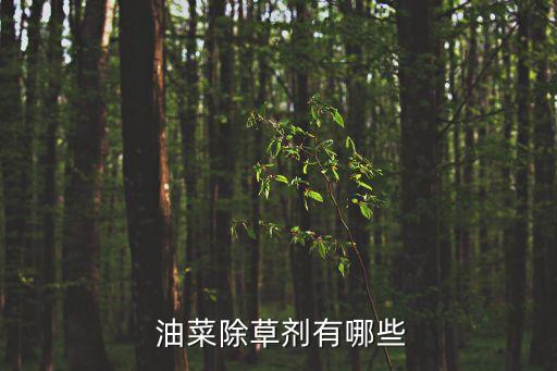 油菜爛桿用什么農藥防治,冬季油菜打什么農藥好