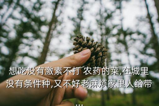 想吃沒有激素不打 農藥的菜,在城里沒有條件種,又不好老麻煩家里人給帶...