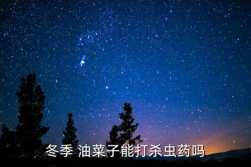冬季 油菜子能打殺蟲藥嗎