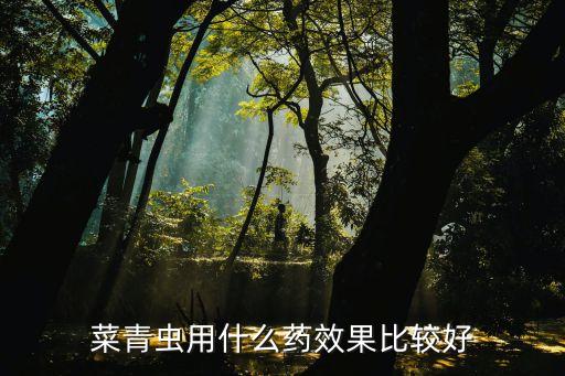 菜青蟲用什么藥效果比較好