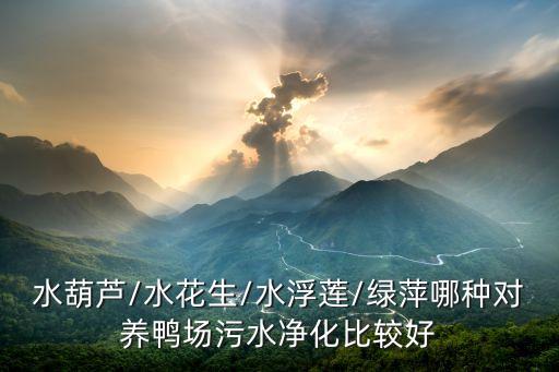 水葫蘆/水花生/水浮蓮/綠萍哪種對養鴨場污水凈化比較好