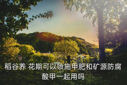 稻谷養 花期可以噴施甲肥和礦源防腐酸甲一起用嗎