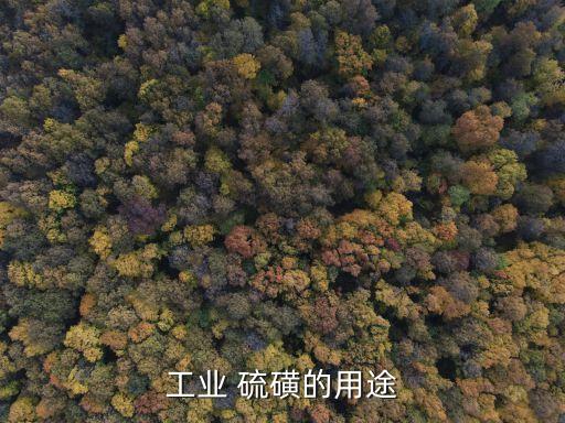 硫磺對什么農藥最好,炭疽病用什么農藥最好