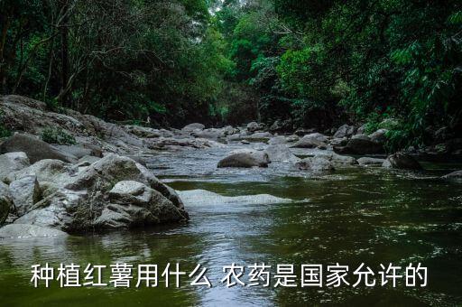豆地里的山藥用什么農藥,山藥有蟲用什么農藥