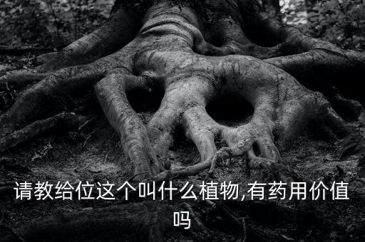 蓖麻子可以做什么農(nóng)藥,中藥蓖麻子是做什么用的