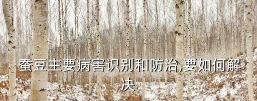  蠶豆主要病害識別和防治,要如何解決