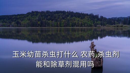玉米后期用什么農藥,給玉米打什么農藥好呢