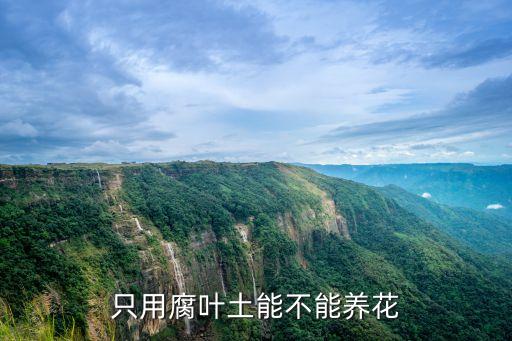 ,腐殖土用什么農藥殺蟲
