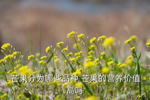 水仙芒果為什么有農藥味