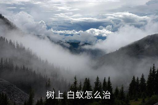 殺白蟻用什么農藥,白蟻什么季節殺最合適