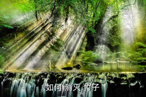 什么農(nóng)藥可以消滅竹子,竹子用什么農(nóng)藥打死