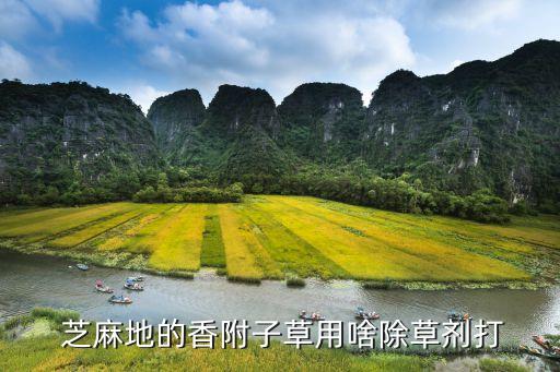 芝麻苗用什么農藥好些,芝麻打什么農藥高產