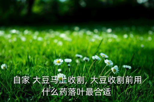 什么農藥能殺死大豆樹苗,種植大豆用什么農藥