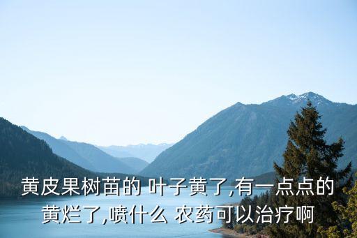 黃皮果樹苗的 葉子黃了,有一點點的黃爛了,噴什么 農藥可以治療啊