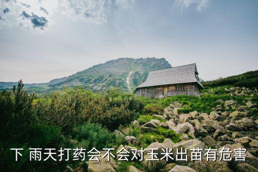 雨天噴施什么農藥,噴施農藥什么時間最好