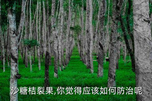 沙糖桔用什么農藥打,買的沙糖桔有股農藥味道
