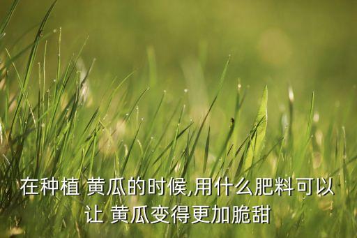 露天黃瓜用什么農藥好,黃瓜幼苗打什么農藥