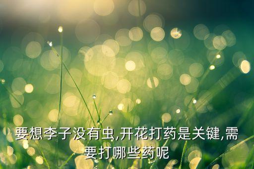 李樹(shù)過(guò)敏用什么農(nóng)藥好,李樹(shù)噴什么農(nóng)藥