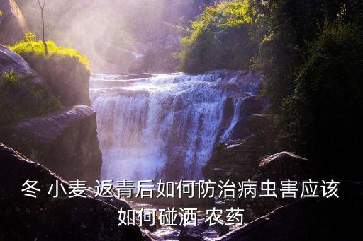 冬 小麥 返青后如何防治病蟲害應(yīng)該如何碰灑 農(nóng)藥